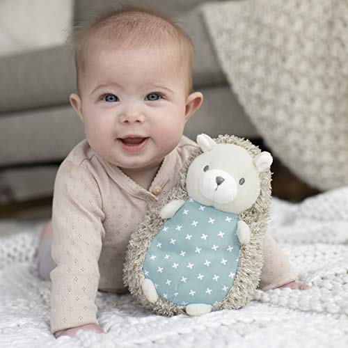 Soft Plush Squeak Toy - Farrow Hedgehog