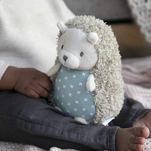 Soft Plush Squeak Toy - Farrow Hedgehog