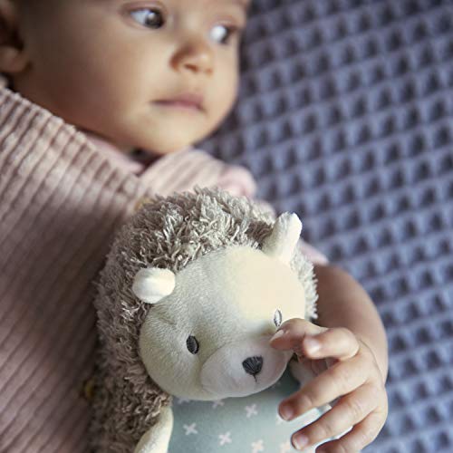 Soft Plush Squeak Toy - Farrow Hedgehog