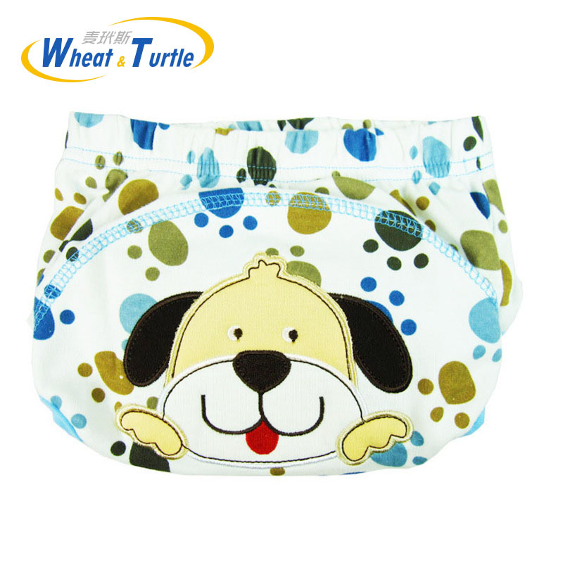 Reusable Cloth Diapers for Infants and Children