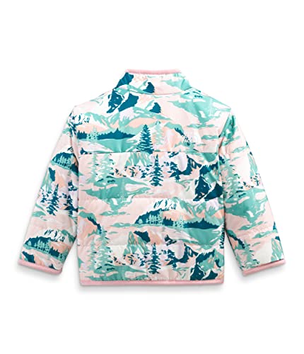 North Face Baby Jacket, Reversible & Printed