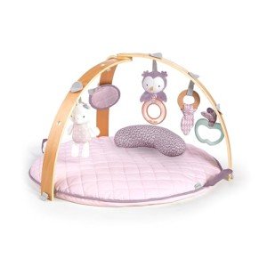 Ingenuity Reversible Activity Gym & Play Mat