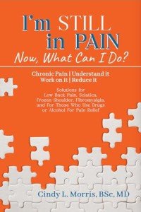 Chronic Pain Solutions: Understand and Reduce Discomfort