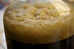 Moonshine Distiller's Yeast for Whiskey Making
