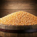 Corn Whiskey Distillery Kit with Yeast and Enzyme