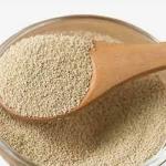 Old Timers Gold Distillers Yeast for Moonshine