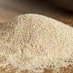 Old Timers Gold Distillers Yeast for Moonshine