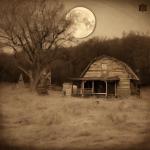 Old Timers Gold Distillers Yeast for Moonshine