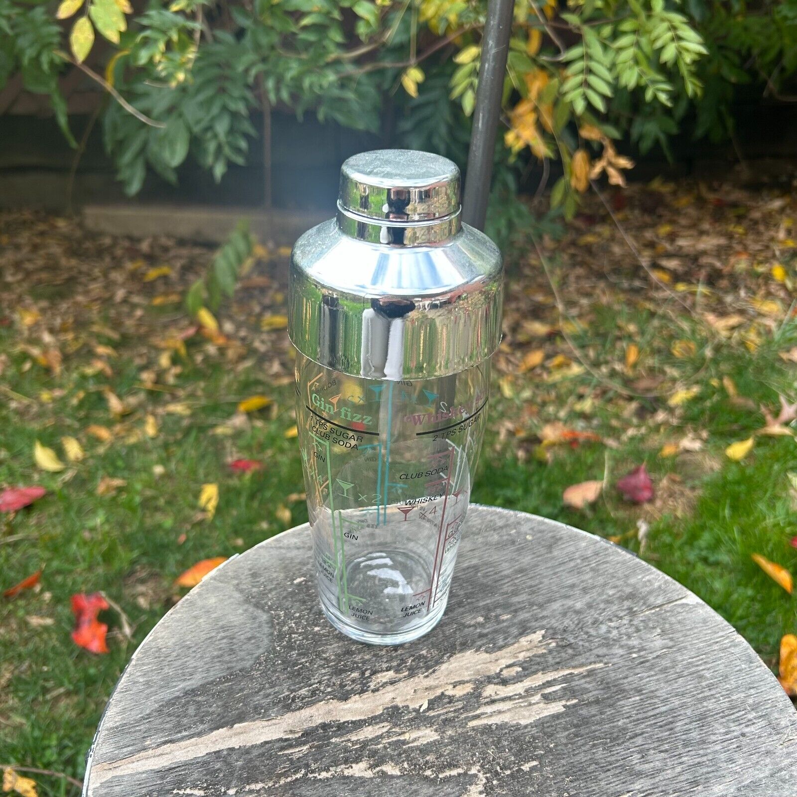 Retro Cocktail Mixer Kit - Vintage Glass Bartender Set