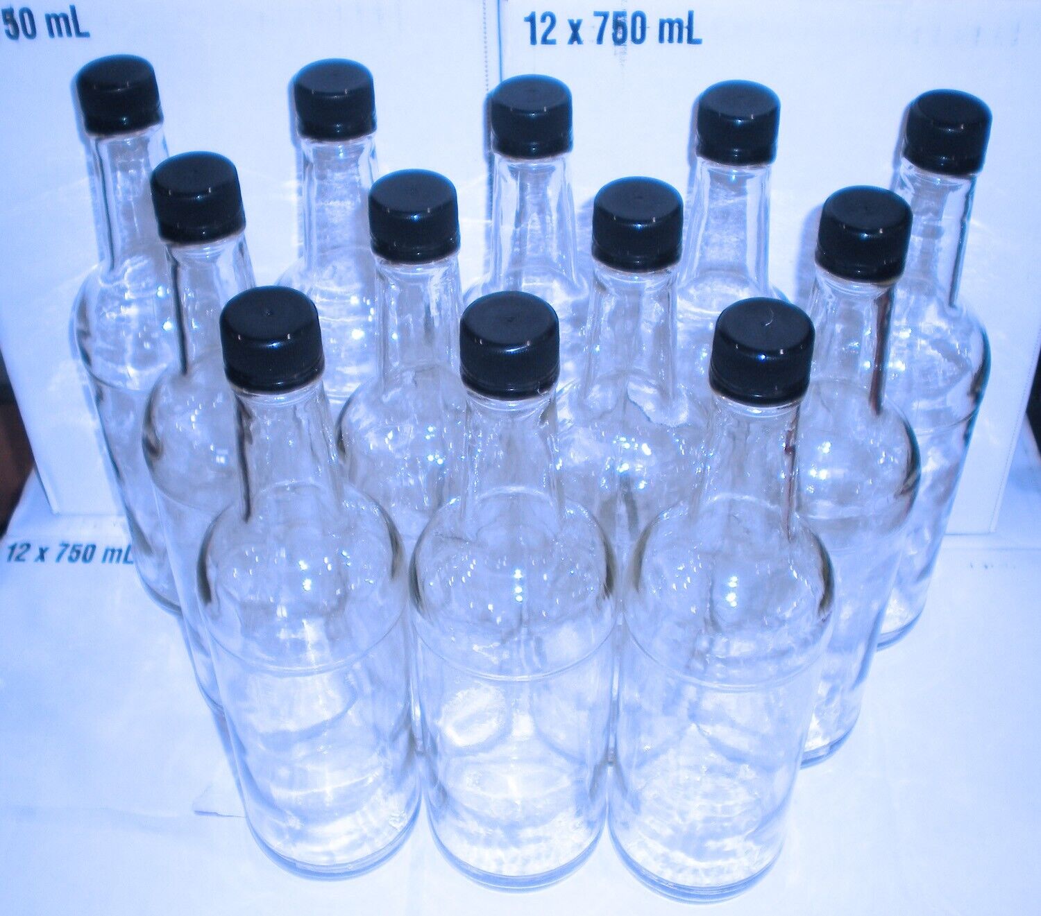12pc 750ml Clear Glass Bottles with Screw Caps