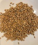 Master Distillers Kit – DIY 10 Gallon Mash