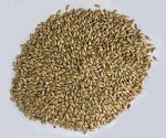 Rabbit Hole Bourbon Style Distillers Kit - 10 Gallon