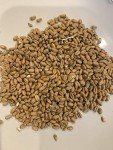 North Georgia Fermentation Kit for Moonshine & Whiskey