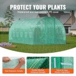 VEVOR 19.4' Walk-in Tunnel Greenhouse Kit