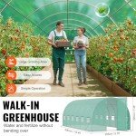 VEVOR 19.4' Walk-in Tunnel Greenhouse Kit