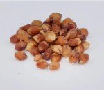 Blue Hopi Corn for Moonshine, 40 lbs