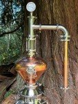 Copper Pot Still with Whiskey Helmet and Bubble Plate
