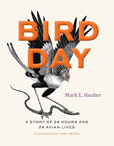 24 Hours, 24 Avian Lives: Bird Day Story