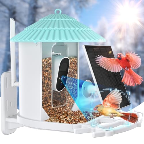 Solar-powered smart bird feeder with wireless camera