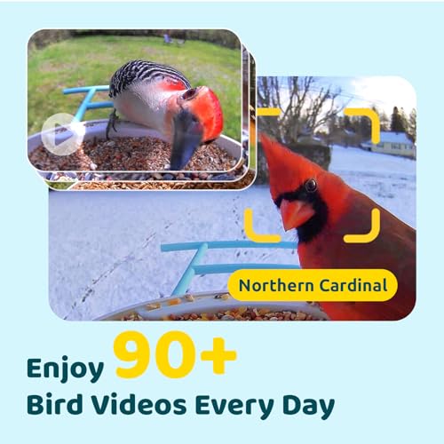 Wireless Bird Watching Camera with Auto-Capture - Ideal Gift