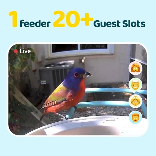 Wireless Bird Watching Camera with Auto-Capture - Ideal Gift