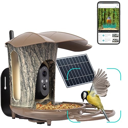Smart Bird Feeder with AI Camera & Night Vision