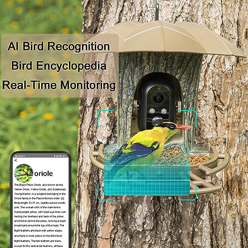 Smart Bird Feeder with AI Camera & Night Vision