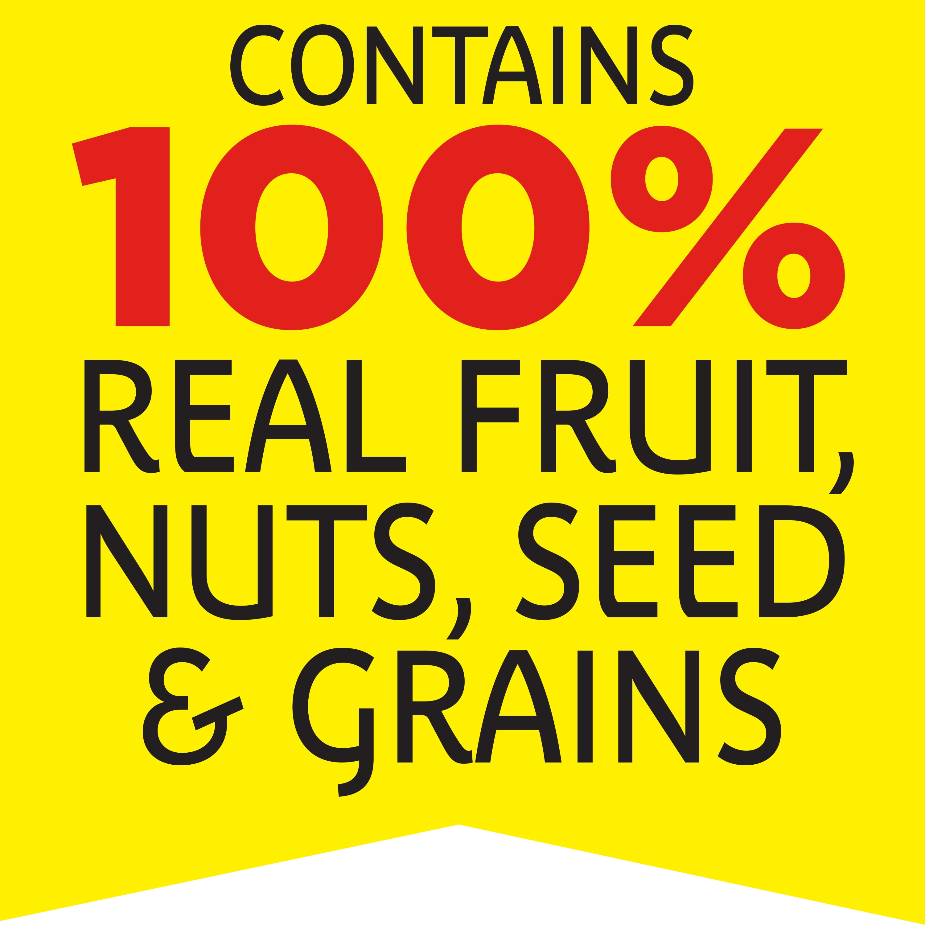 Pennington Fruit & Nut Wild Bird Seed Blend (2.5 lbs)