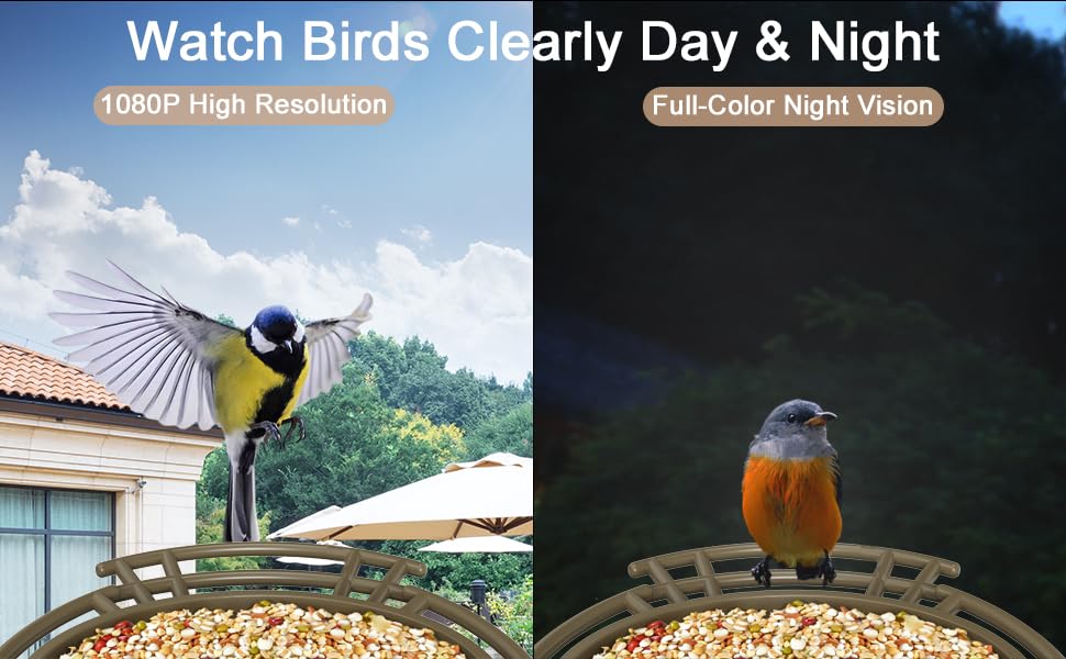 Smart Bird Feeder with AI Camera & Night Vision