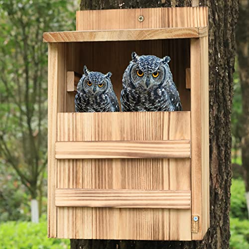 Outdoor Owl House - Rectangular Wood Nesting Box