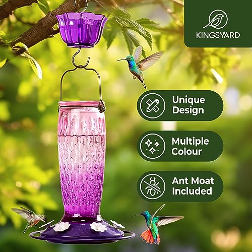 Kingsyard Hanging Glass Hummingbird Feeder 24oz - Pink/Purple