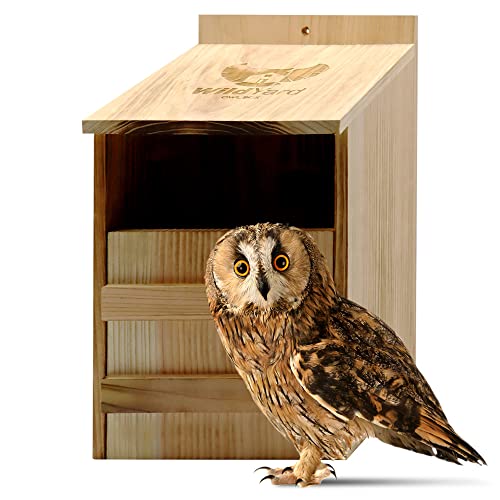 Outdoor Owl House - Real Wood, Easy-to-Hang