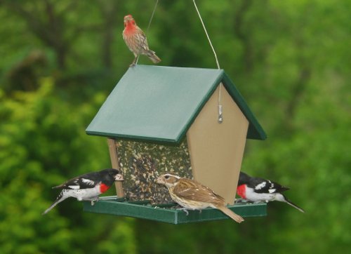 Large Hopper Feeder made from Recycled Plastic