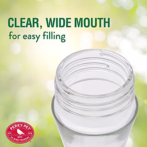 2-Pack Pinch-Waist Glass Hummingbird Feeder - Outdoor Decor