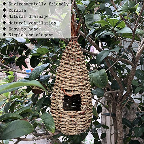 Eco-Friendly Teardrop Shaped Bird Hut for Cold Weather