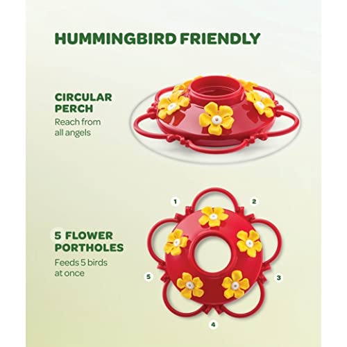 Hummingbird Feeder 10 oz - Set of 2, Outdoor Feeders