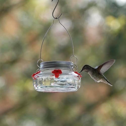 Clear Mason Jar Hummingbird Dish Feeder - 4