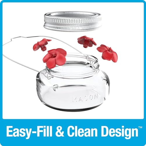 Clear Mason Jar Hummingbird Dish Feeder - 4