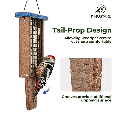 Blue Double Capacity Suet Bird Feeder: Sturdy & Durable