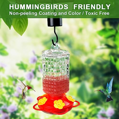 Glass Hummingbird Feeder with 5 Feeding Stations