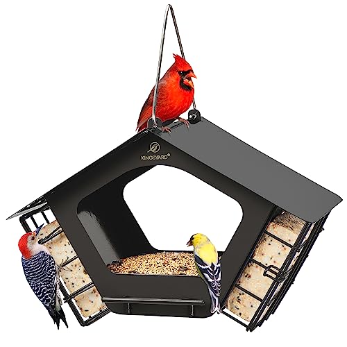 Metal Bird Feeders with Mixed Seeds and Suet