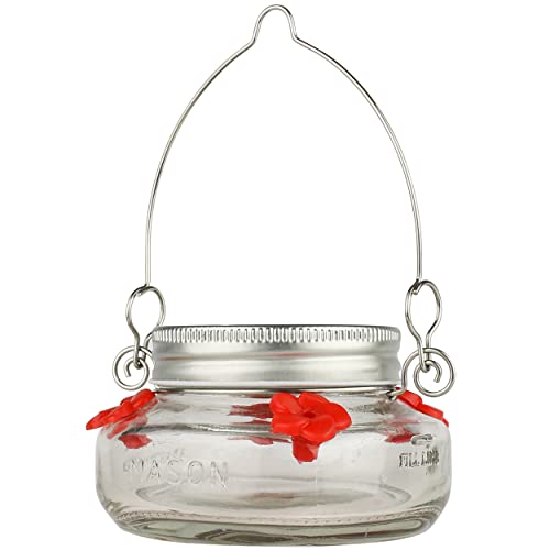 Clear Mason Jar Hummingbird Dish Feeder - 4