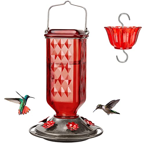 Glass Hummingbird Feeder with 6 Feeding Ports, 24oz