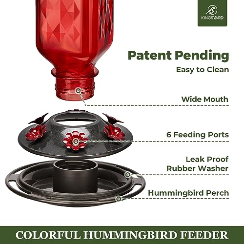 Glass Hummingbird Feeder with 6 Feeding Ports, 24oz