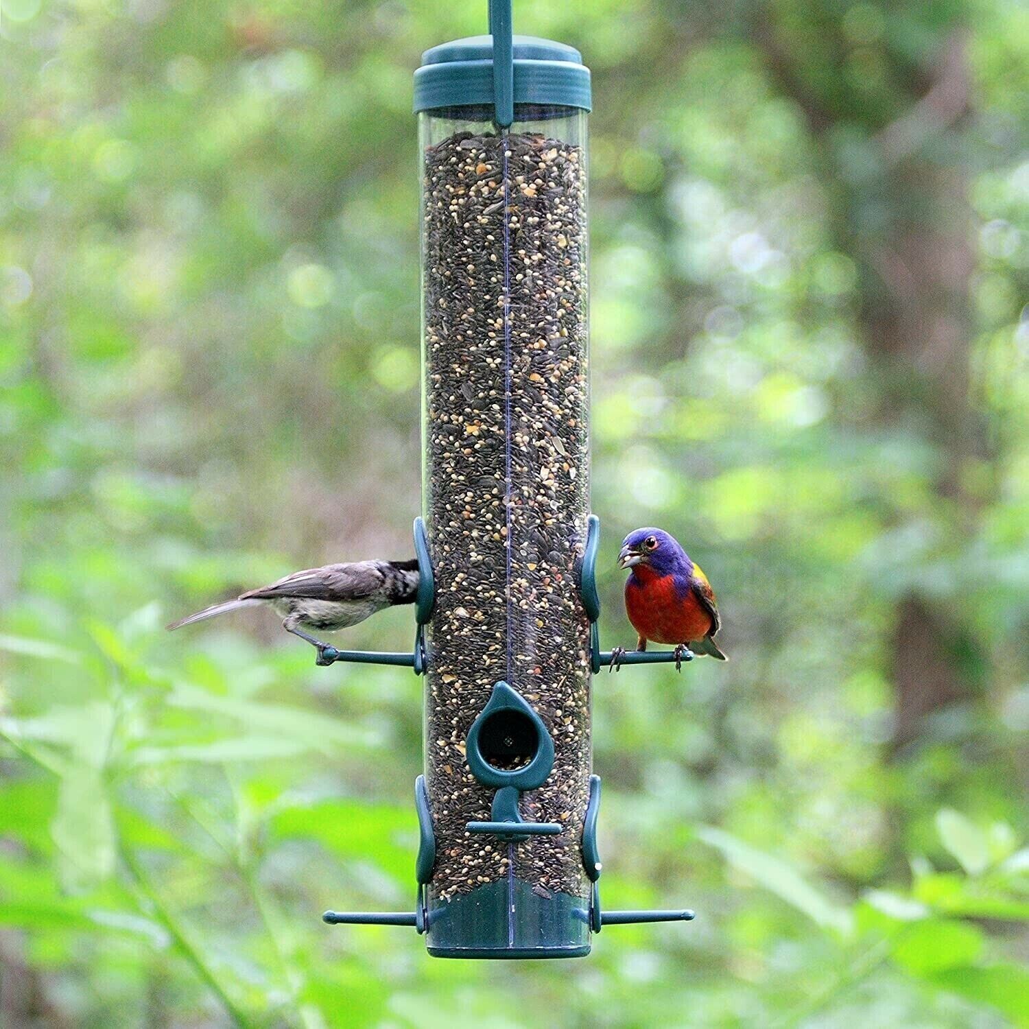 Classic Wild Bird Feeder: Hanging Tube, Premium Seed