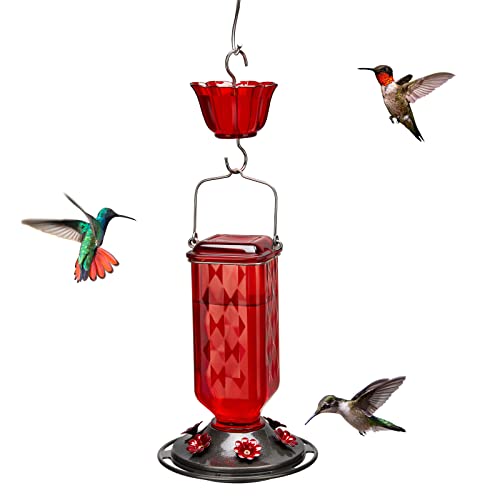 Glass Hummingbird Feeder with 6 Feeding Ports, 24oz
