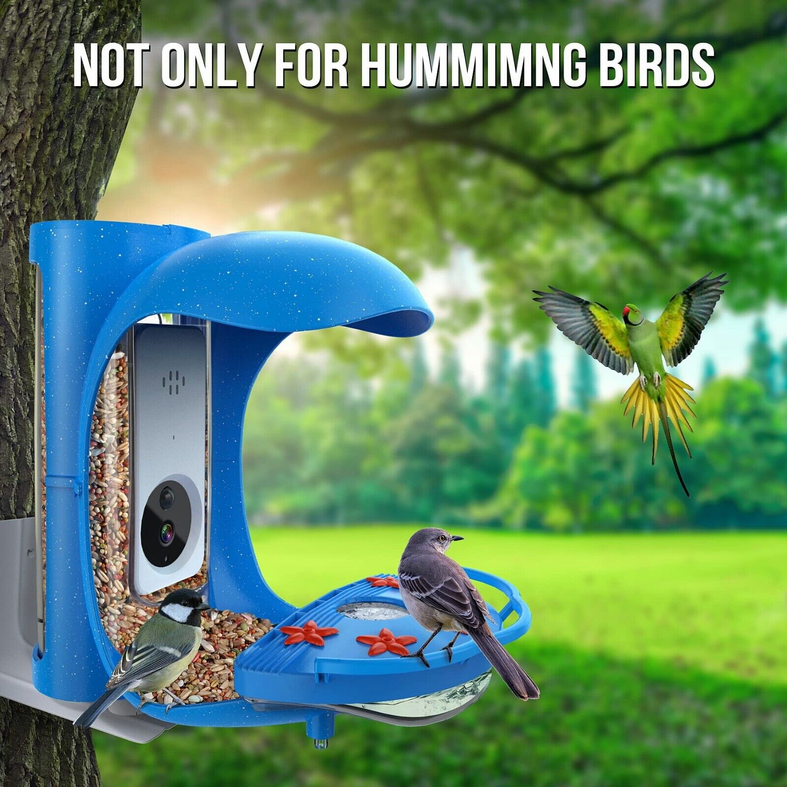 Hummingbird Feeder Camera with AI Recognition - Wild Birds