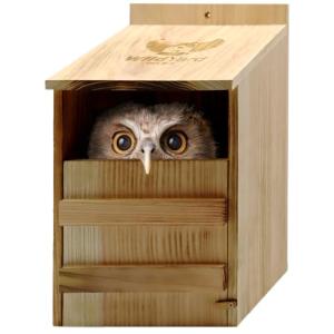 Outdoor Owl House - Real Wood, Easy-to-Hang