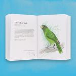 Guide to Stupid Wild Birds in Nature
