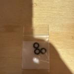 QAD Exodous 100 Grain Full Blade Broadhead